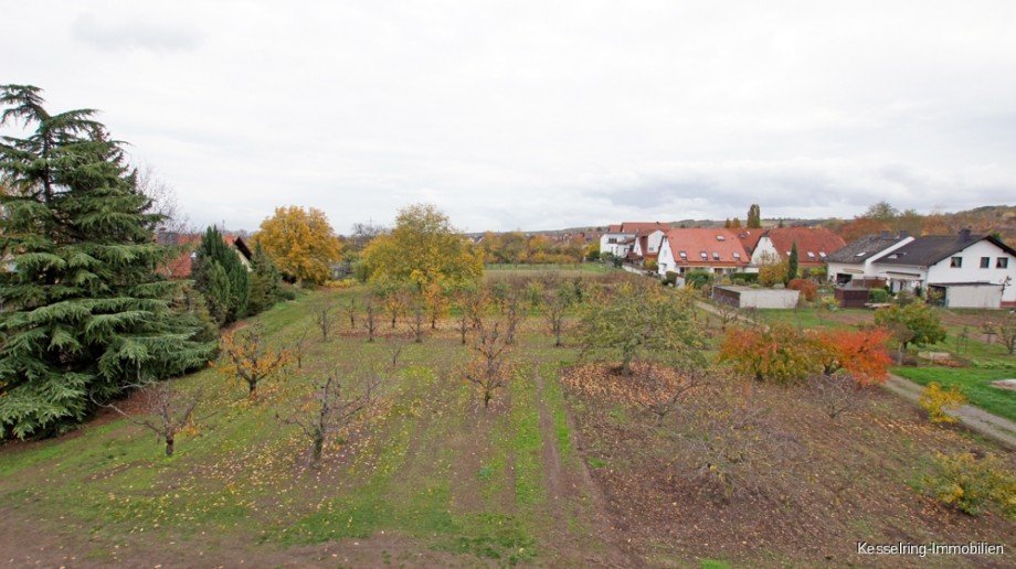 OG Ausblick Kind 2 Doppelhaush�lfte Heidesheim am Rhein